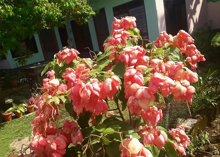 Villy\'S Cottage